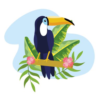 Toucan tropik bitkiler ile yaz vektör çizim içinde bırakır