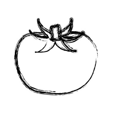 domates organik sağlıklı sebze, vektör çizim şekil