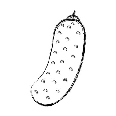 satırı sağlık salatalık sebze simgesi, vektör çizim