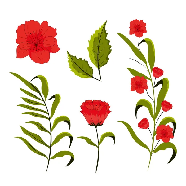 Set Von Schönen Blumen Sammlung Vektor Illustration Grafik Dsign — Stockvektor