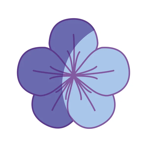 Belles Pétales Fleur Botanique Illustration Vectorielle — Image vectorielle