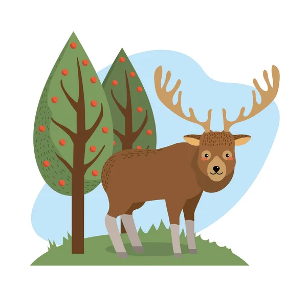 Elk Hewan Lucu Untuk Vektor Alam Satwa Liar Ilustrasi - Stok Vektor