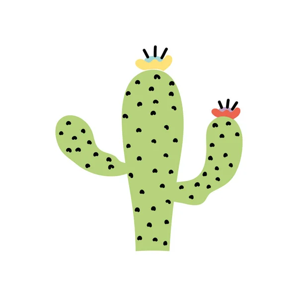 Cactus Tropical Con Flores Pétalos Vector Ilustración — Vector de stock