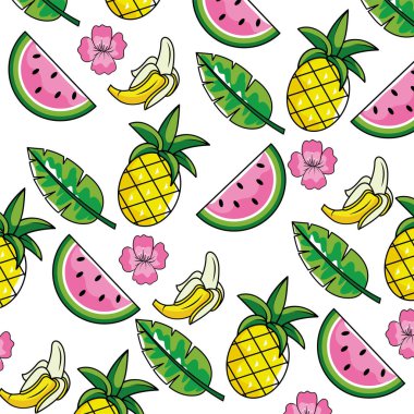 tropikal meyveler yaprakları ile ve arka plan vektör çizim çiçek