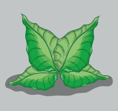 yeşil güzel bitkiler dekorasyon botanik, vektör çizim