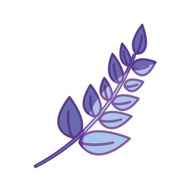 doğal bitki dal bitki botanik, vektör çizim