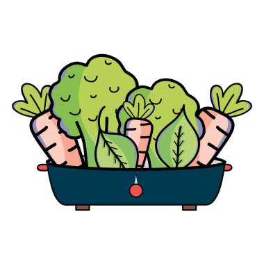 taze ve lezzetli sebze pot, vektör çizim içinde