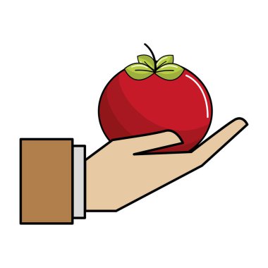 organik domates sebze el simgesi, vektör çizim