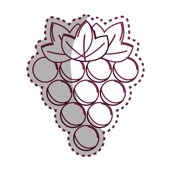 Pegatina Silueta Uvas Fruta Icono Imagen Vector Ilustración Diseño Stock — Archivo Imágenes Vectoriales