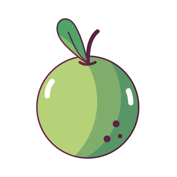 Deliciosa Fruta Manzana Con Vitaminas Proteína Vector Ilustración — Vector de stock