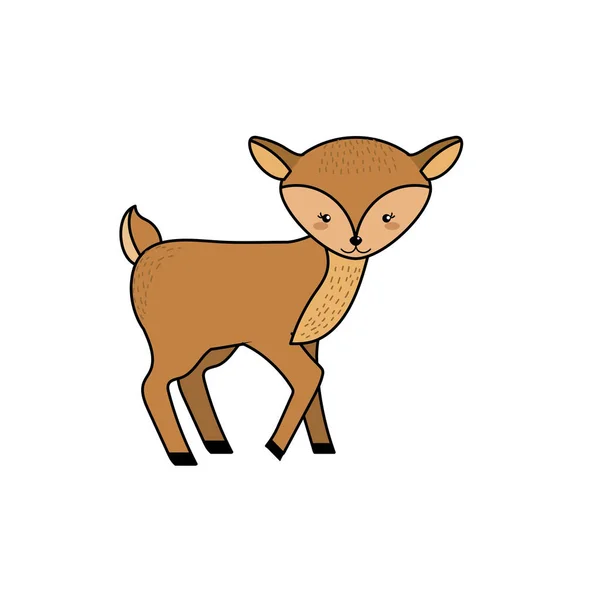Cute Deer Wild Animal Icon Vector Illustration — Stock Vector