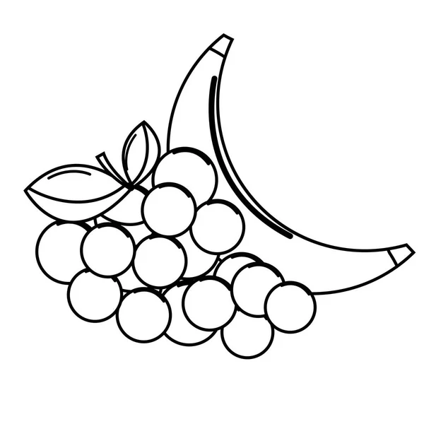 Silhouette Grape Babana Fruit Icon Vector Illustration Design Image — Stock Vector
