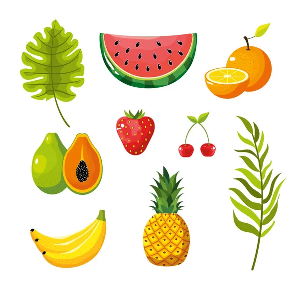 设置美味的热带和异国情调的水果矢量插图 — 图库矢量图片