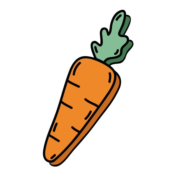 Deliciosa Zanahoria Fresca Vegetal Orgánico Vector Ilustración — Vector de stock