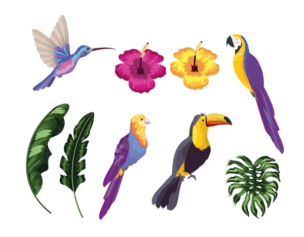 Conjunto Aves Exóticas Con Hojas Naturales Vector Ilustración — Archivo Imágenes Vectoriales