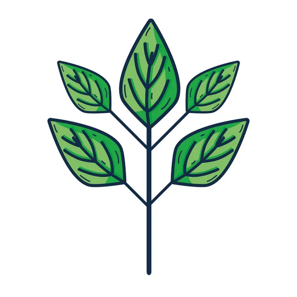 Экологические Растения Векторной Иллюстрацией Листьев — стоковый вектор