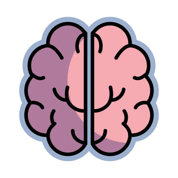 Cérebro Criativo Rosa Mental Saudável Ilustração Vetorial —  Vetores de Stock