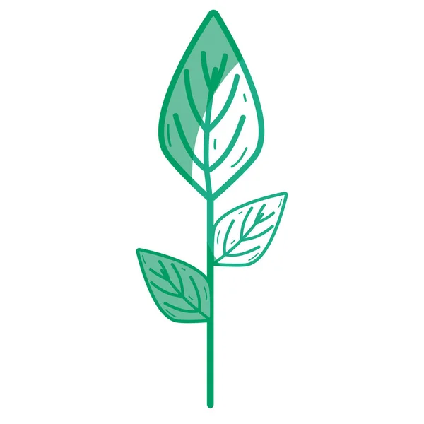 Silhouette Écologie Plantes Avec Des Feuilles Icône Vectorielle Illustration — Image vectorielle