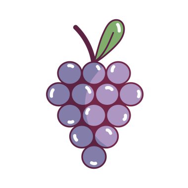 lezzetli üzüm meyve vitamin ve protein vektör çizim ile
