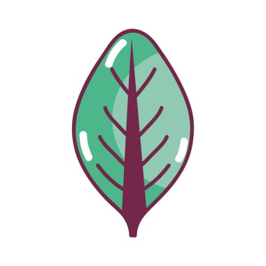 güzel organik leaf bitki, vektör çizim tasarım