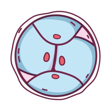 Biyoloji Genetik embriyo hücreleri bölme vektör çizim