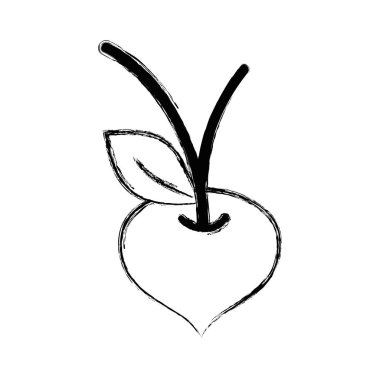 Pancar organik sağlıklı sebze, vektör çizim şekil