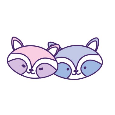 şirin rakun baş hayvan çift birlikte vektör çizim