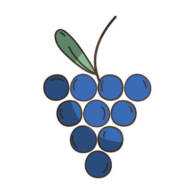 lezzetli taze üzüm organik meyve, vektör çizim
