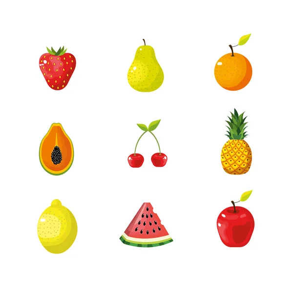 Definir Deliciosa Ilustração Vetor Frutas Tropicais Exóticas —  Vetores de Stock