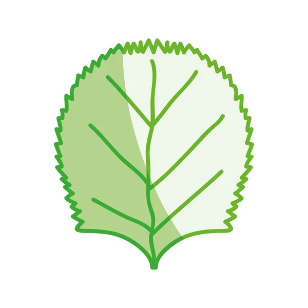 Schöne Organische Blattpflanze Vektor Illustration Design — Stockvektor