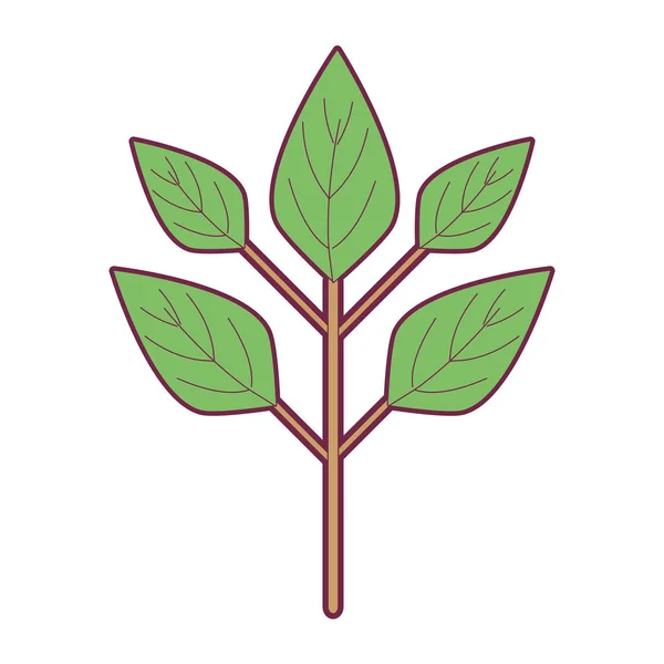 Ecologie Planten Met Blaadjes Pictogram Vectorillustratie — Stockvector