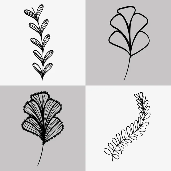Ensemble Branches Avec Feuilles Fleurs Avec Pétales Illustration Vectorielle — Image vectorielle