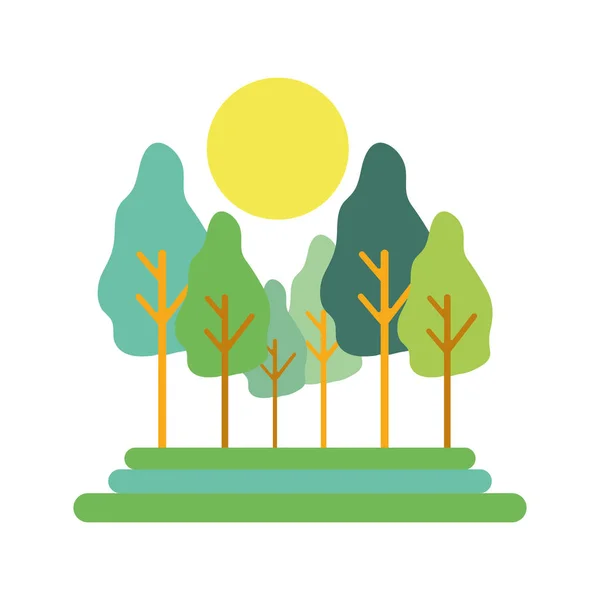 Bosque Con Árboles Ilustración Del Vector Solar — Vector de stock