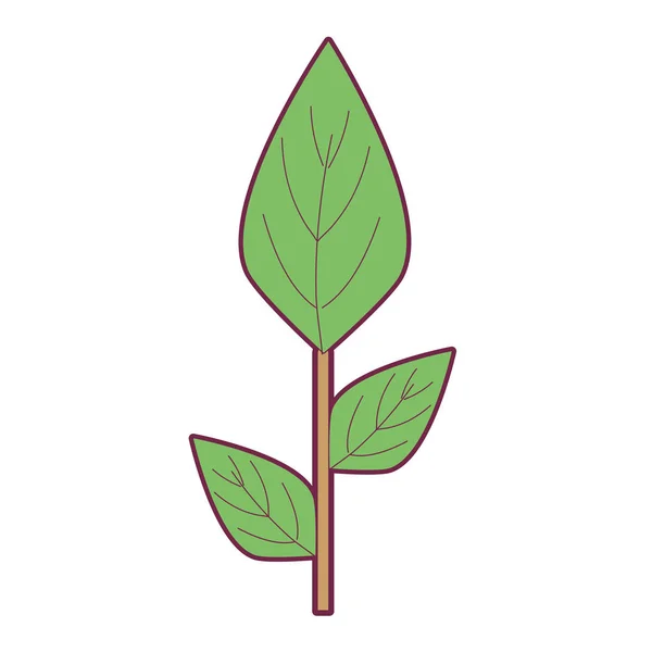 Ökologie Pflanzen Mit Blättern Icon Vektor Illustration — Stockvektor
