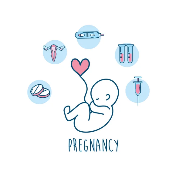 Establecer Proceso Fertilización Del Embarazo Biología Reproducción Vector Ilustración — Vector de stock