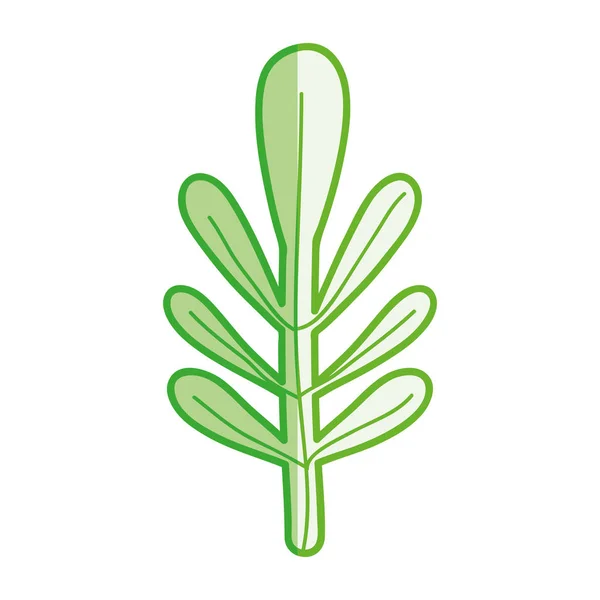 Belle Plante Feuilles Bio Illustration Vectorielle — Image vectorielle