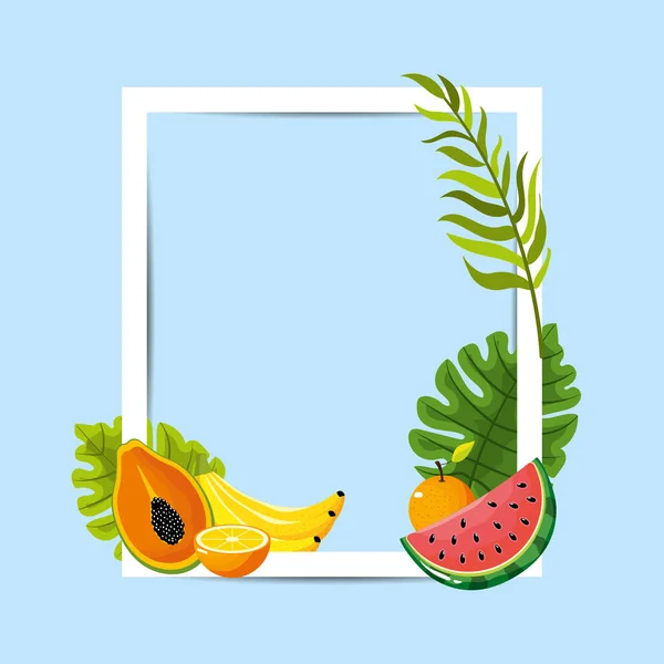 Desenho Moldura Com Ilustração Vetor Fundo Frutas Tropicais — Vetor de Stock