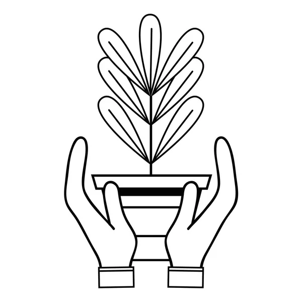 Лінія Рослини Листям Всередині Квіткового Горщика Руках Векторні Ілюстрації — стоковий вектор