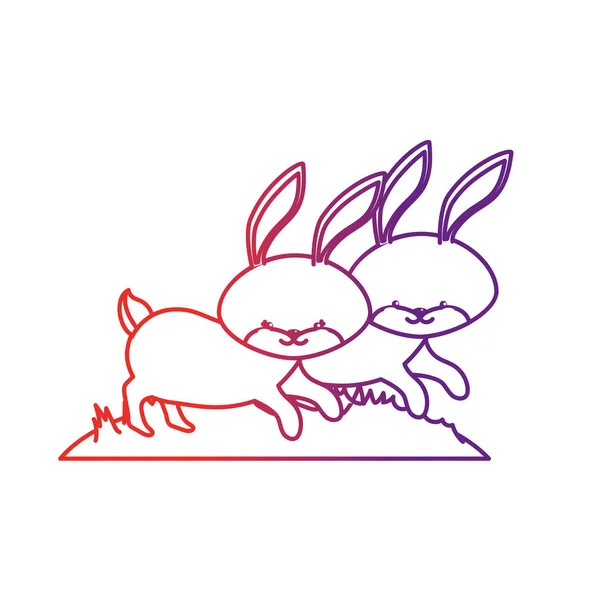 Line Cute Rabbit Animal Couple Together Vector Illustration — Stock Vector