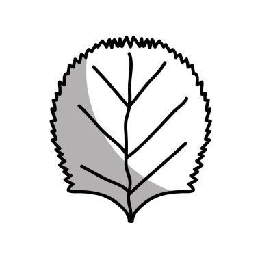 satır güzel organik leaf bitki, vektör çizim tasarım