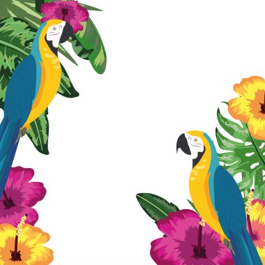 Amerika papağanı papağan arka plan vektör çizim çiçek ve yaprak ile