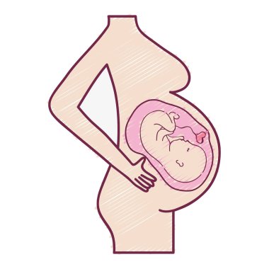 motherhood with baby inside and ubilical cord vector illustration clipart