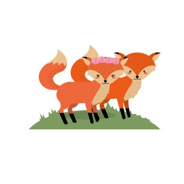 şirin fox hayvan çift birlikte vektör çizim