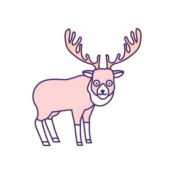 Niedlichen Elch Wildes Tier Symbol Vektor Illustration — Stockvektor