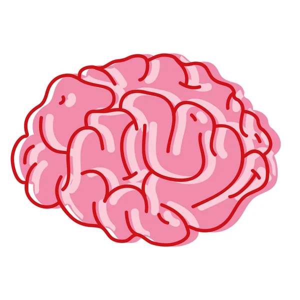 Human Brain Anatomy Creative Intellect Vector Illustration — Stock Vector