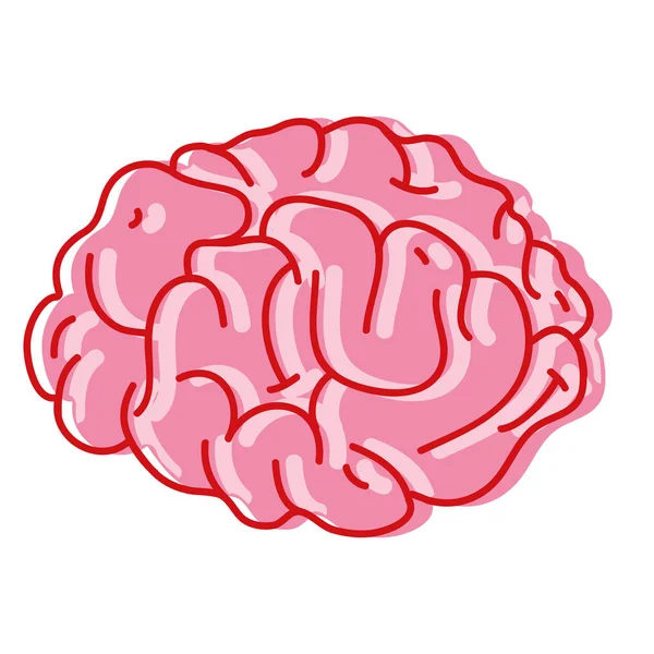 Anatomía Del Cerebro Humano Ilustración Vectorial Creativa Intelectual — Vector de stock