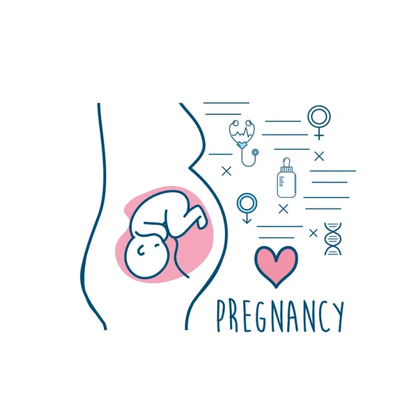 Medicina Fertilización Mujer Reproducción Del Embarazo Vector Ilustración — Vector de stock