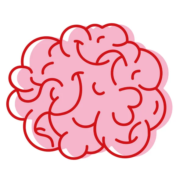 Anatomie Des Menschlichen Gehirns Zur Kreativen Und Intellektuellen Vektorillustration — Stockvektor