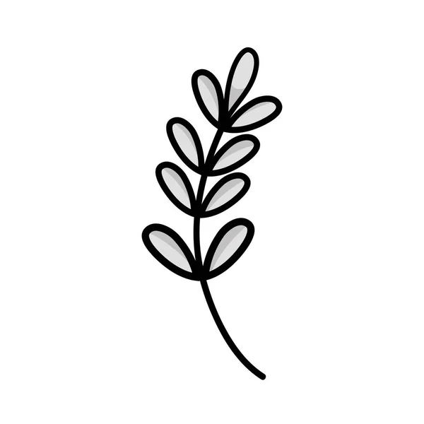 Ramo Linha Com Folhas Planta Natural Desenho Vetor Ilustração —  Vetores de Stock