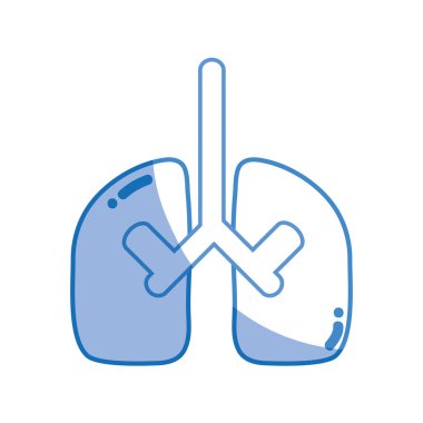siluet akciğerler organ anatomi pulmoner bakım vektör çizim için